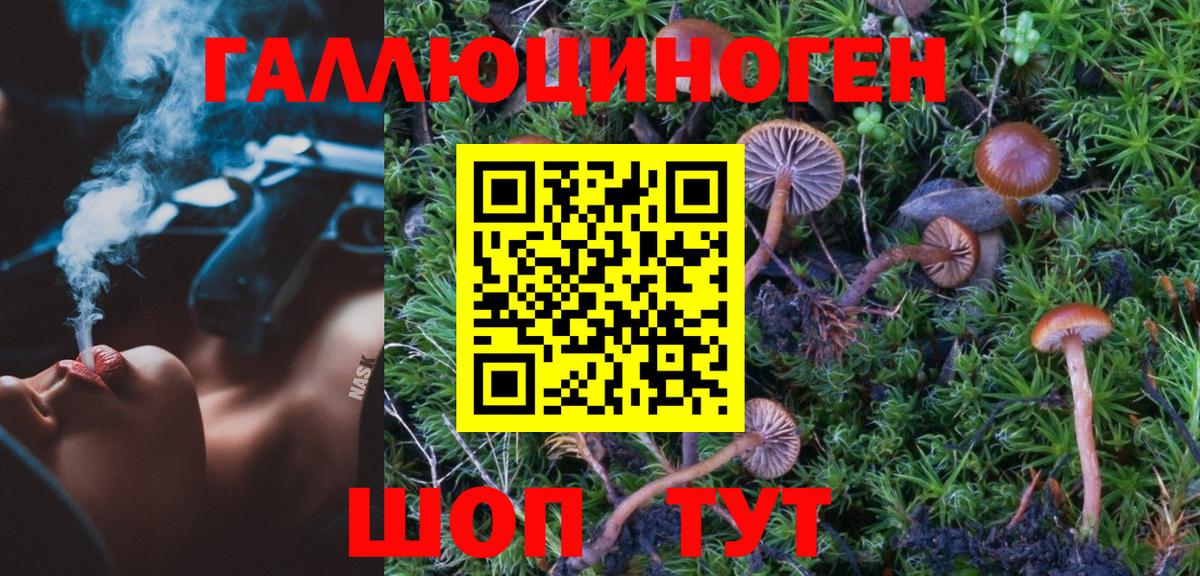 Азов  Галлюциногенные грибы MAGIC MUSHROOMS  Вход с VPN 